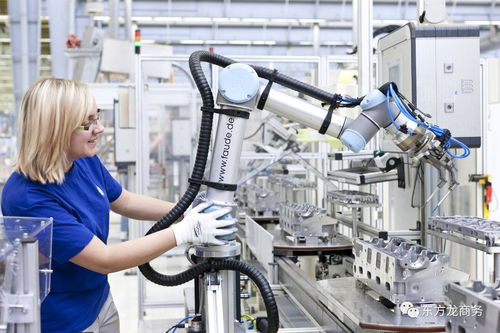 智能機(jī)器人產(chǎn)業(yè)新篇章 東方龍商務(wù)即將舉辦工業(yè)制造產(chǎn)學(xué)研綜合項(xiàng)目政府對接會(huì)